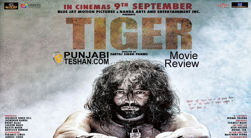 TIGER Movie Review