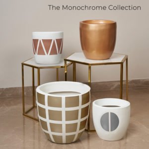 The-Monochrome-Collection 2